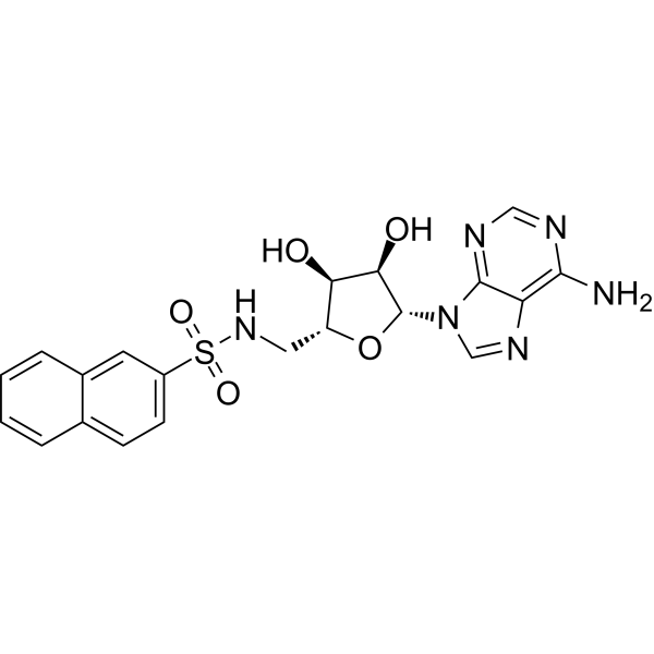 SARS-CoV-2 nsp14-IN-1 2816165-02-1